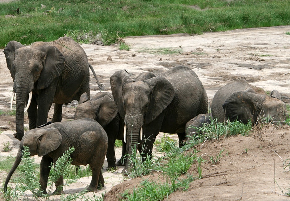 East Africa Reise