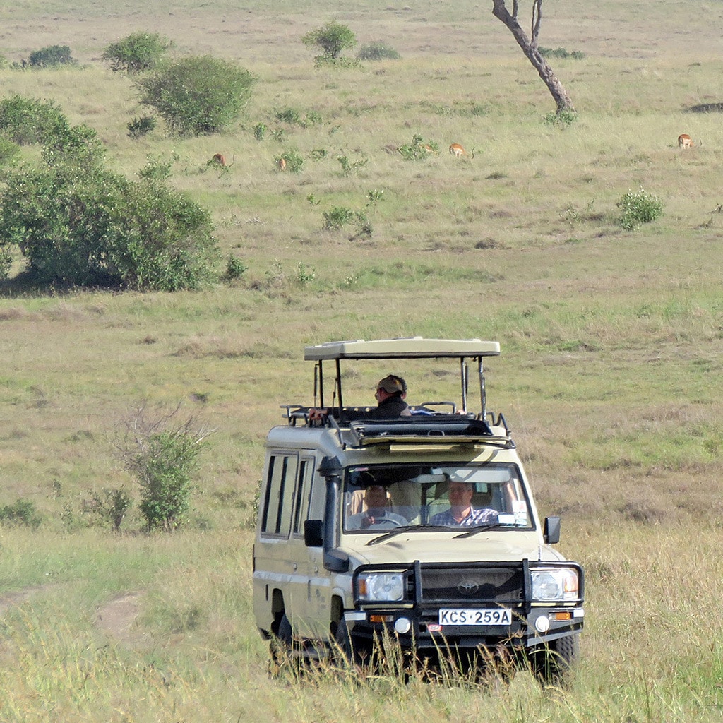 Beste Safari Kenia 8 Tage