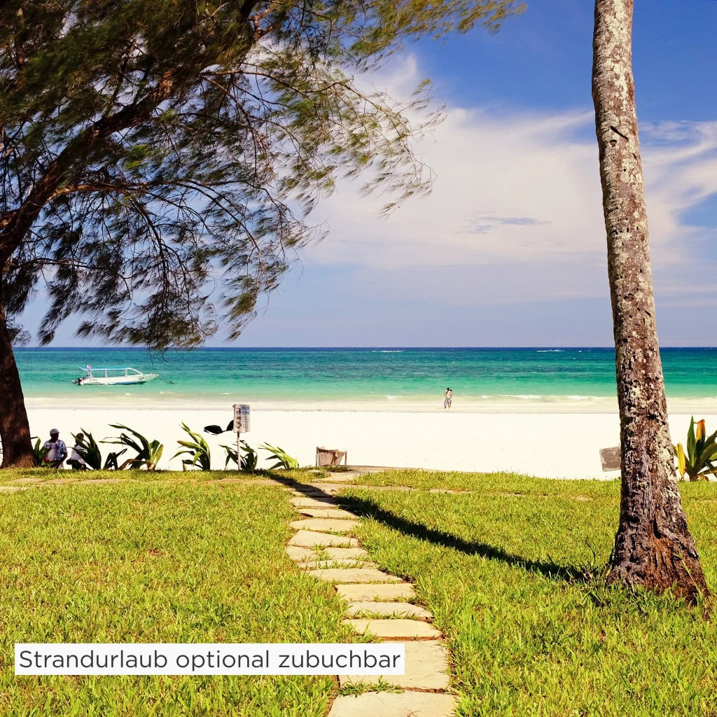 Ein Weg führt über ein Grasstück zum Meer in Diani Beach in Kenia.