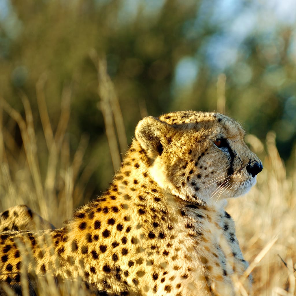 Rundreise Norden Namibia Individuell