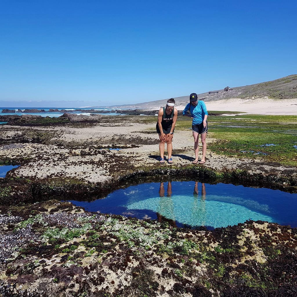 Zwei Touristen schauen in das klare Wasser eines Gezeitenbeckens am Strand an der Garden Route.