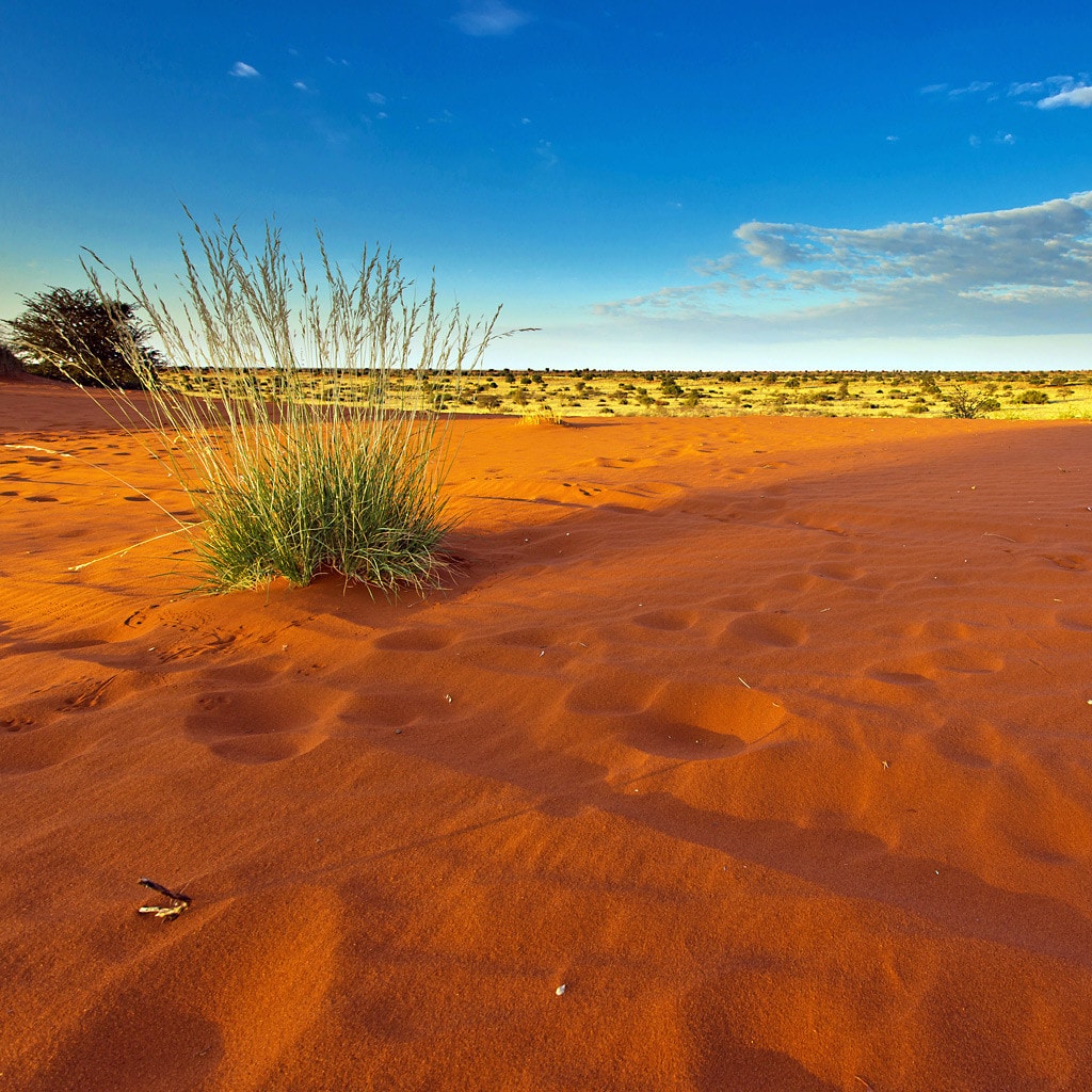 Wüstenandschaft auf Gruppenreise und Rundreise in Namibia