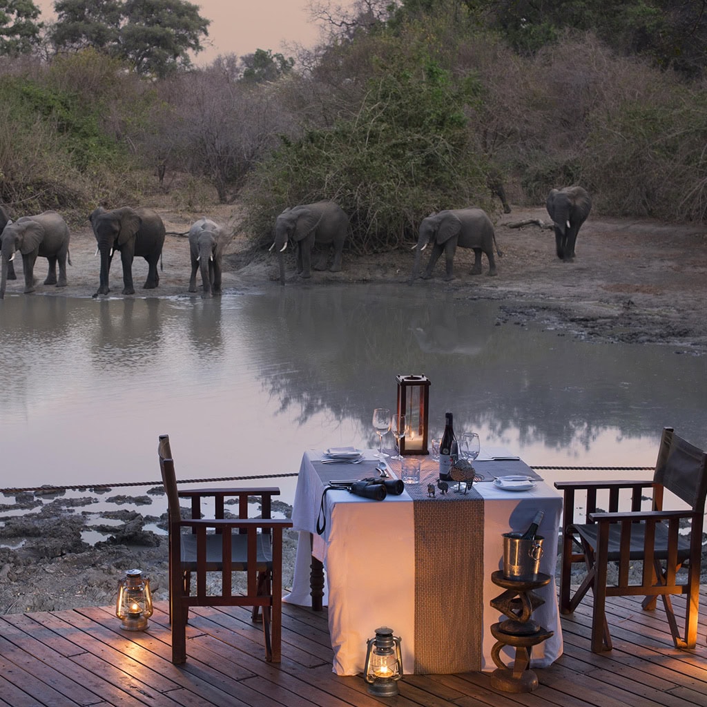Elefantenherde am Wasserloch im Kanga Camp Zimbabwe