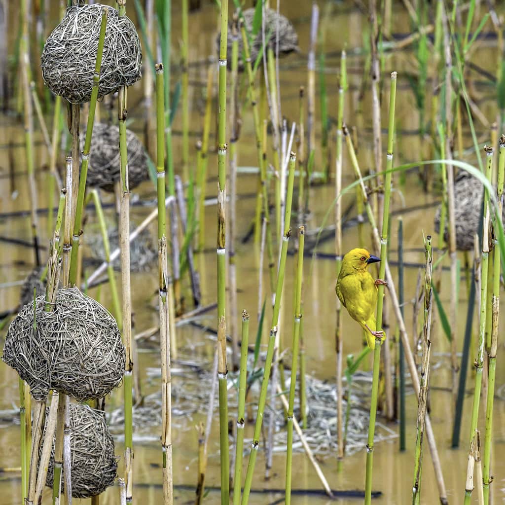 Kleingruppe Rundreise Suedafrika Deutsch