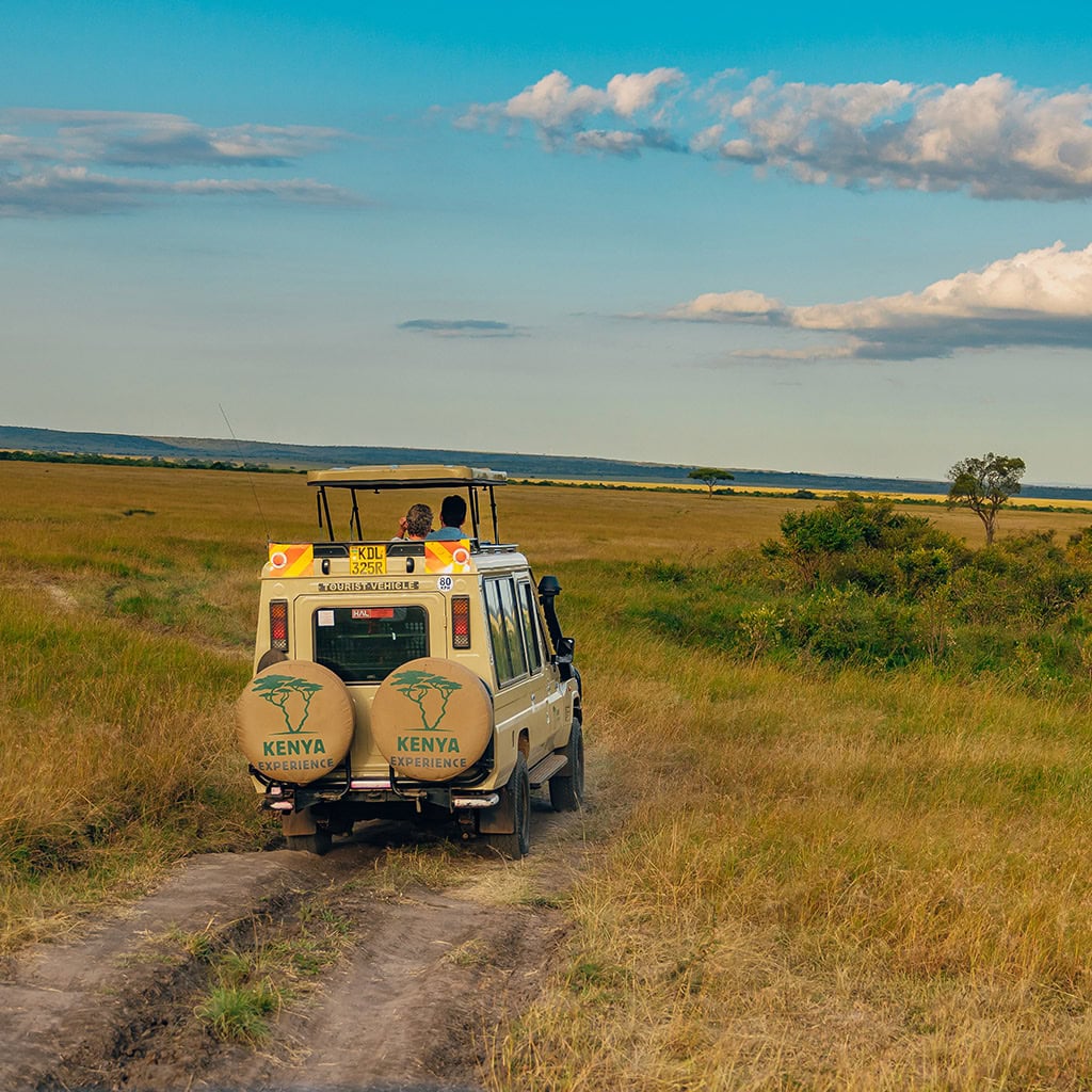 Fahrzeug Serengeti Masai Mara Ngorongoro Krater Safari