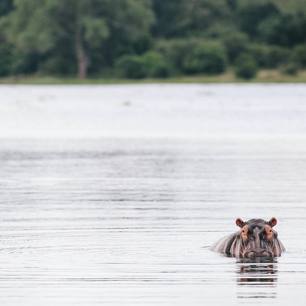 Individuelle Mietwagenreise Simbabwe