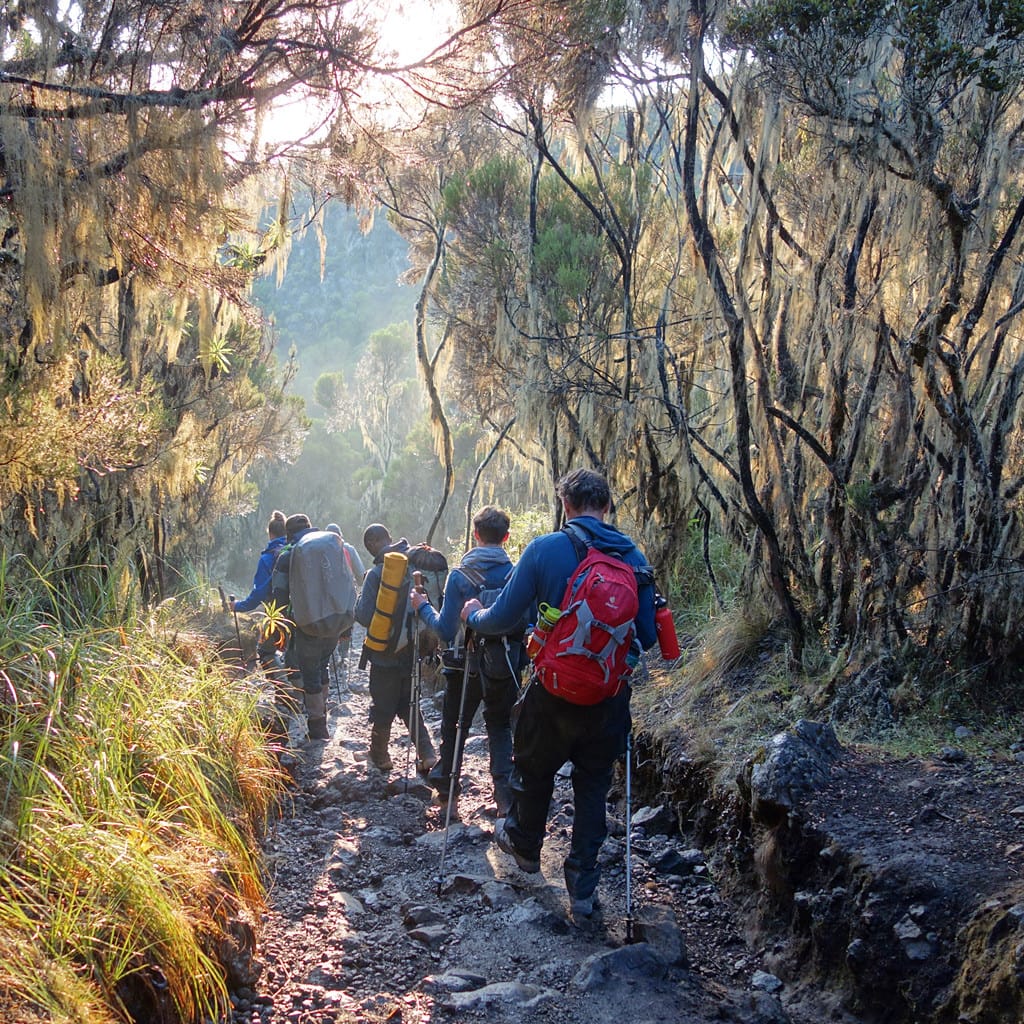 Trekking Afrika Trekkingtouren