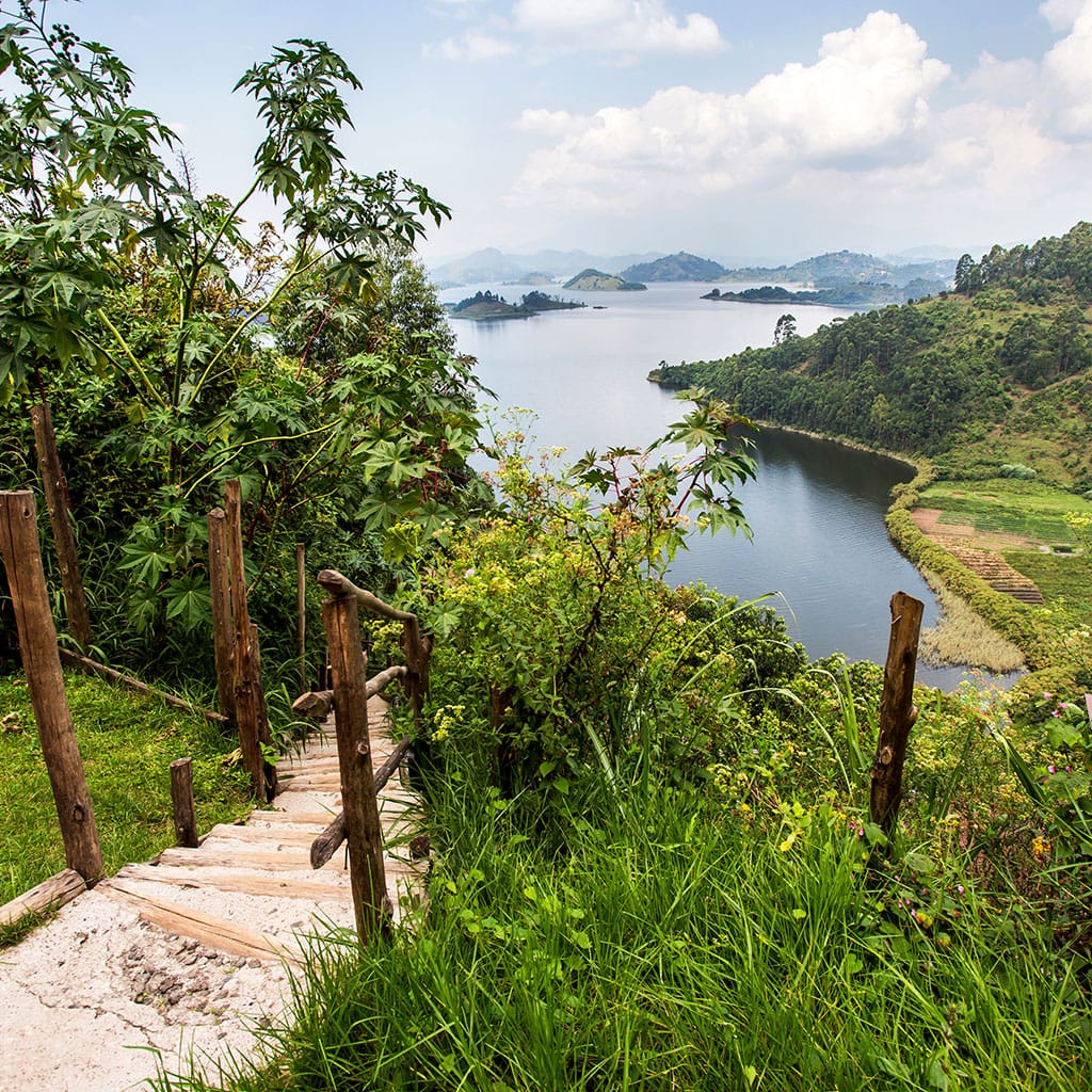Aussicht Chameleon Hill Lodge
