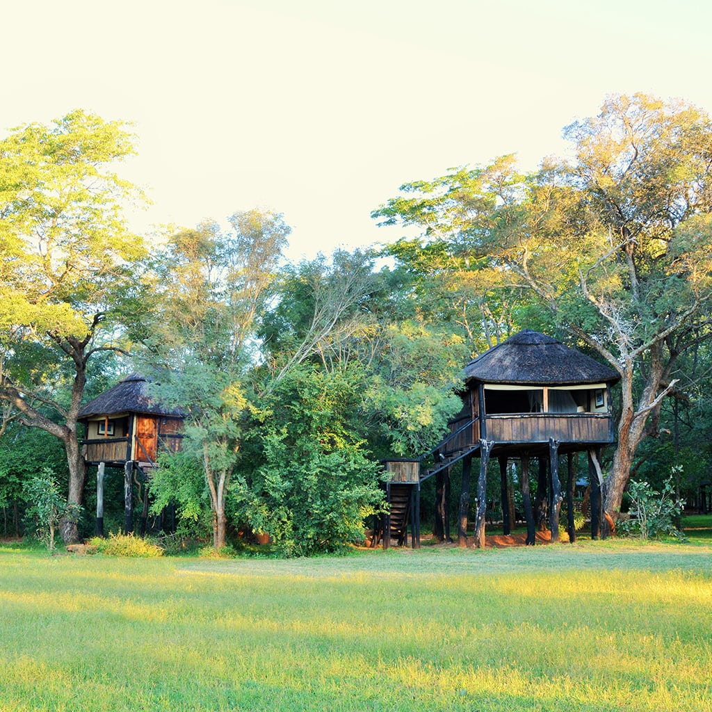 Ivory Lodge