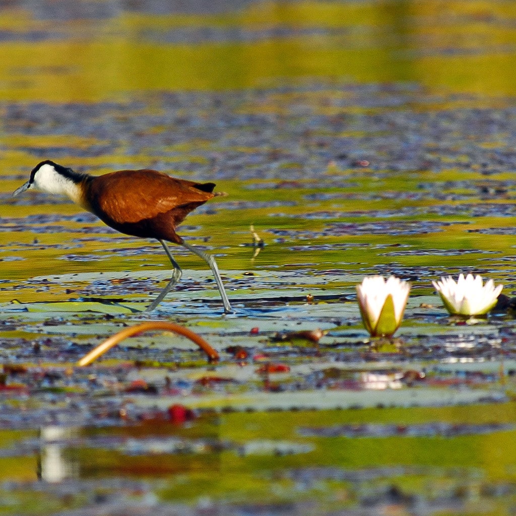 Rundreise Südafrika Viktoriafälle