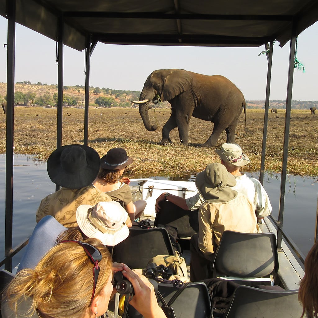 Bootstour im Okavango Delta auf der Rundreise von Südafrika zu den Viktoriafällen