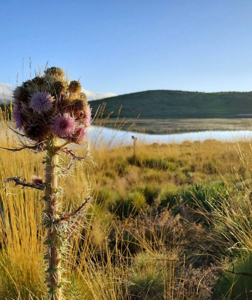 Die Aussicht auf den Lake Ellis am Mt Kenya.