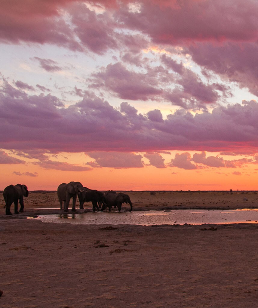Central Kalahari Game Reserve