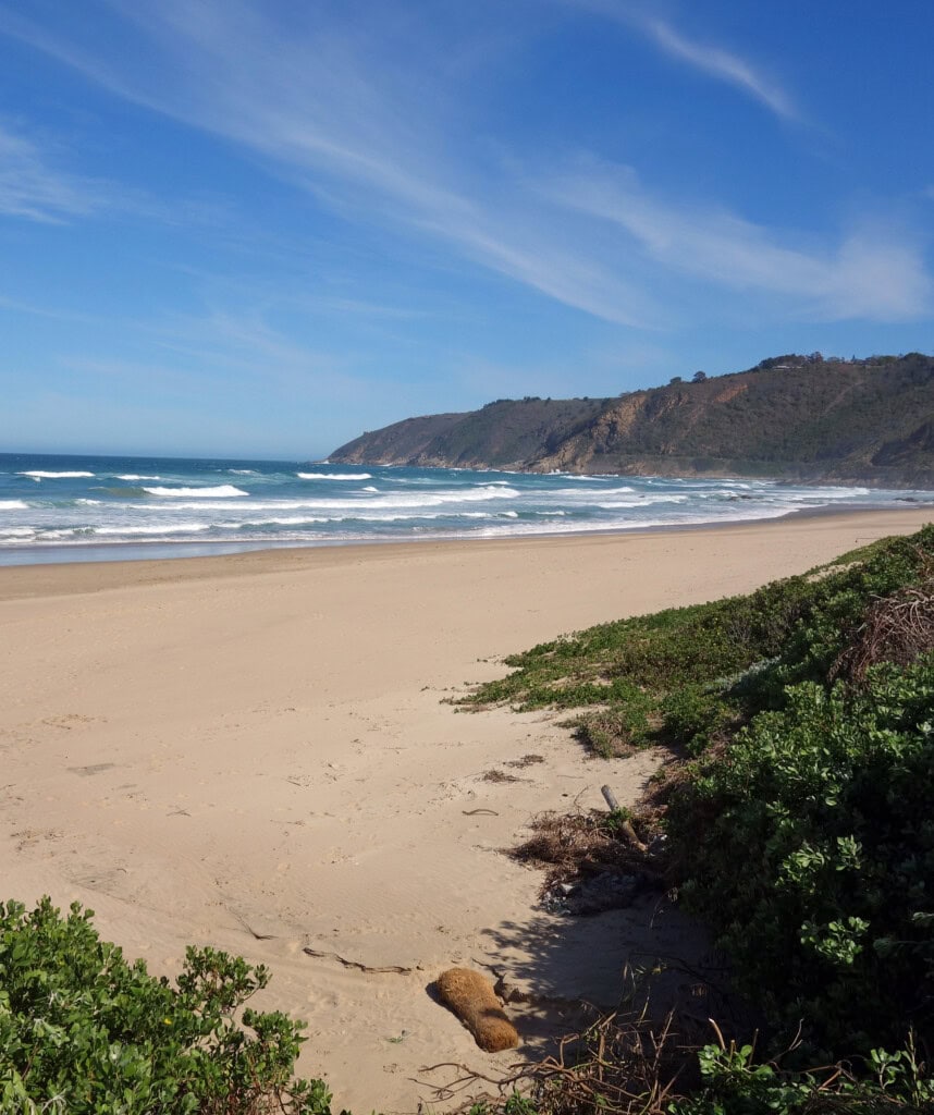 Ein Strand entlang der Garden Route.