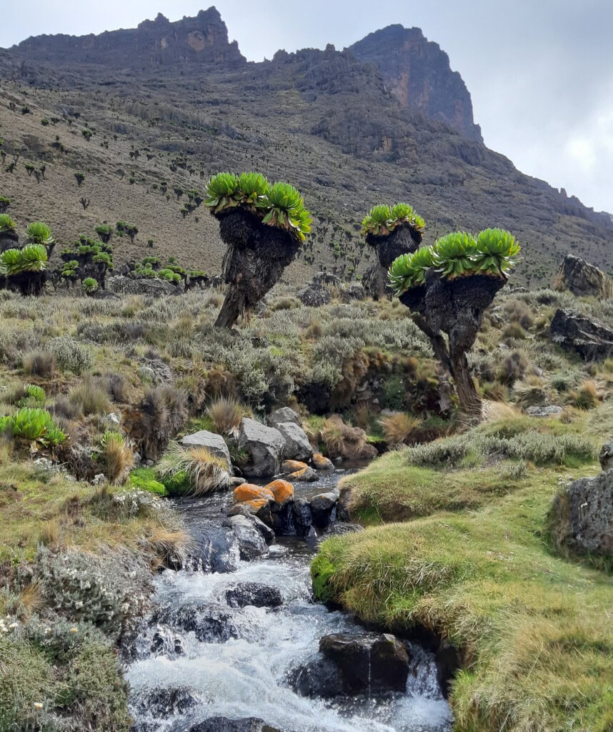Die schöne Landschaft entlang der Naro Moru Route am Mount Kenya