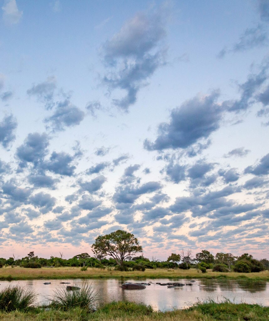 Eine Landschaftsaufnahme im Okavango Delta.