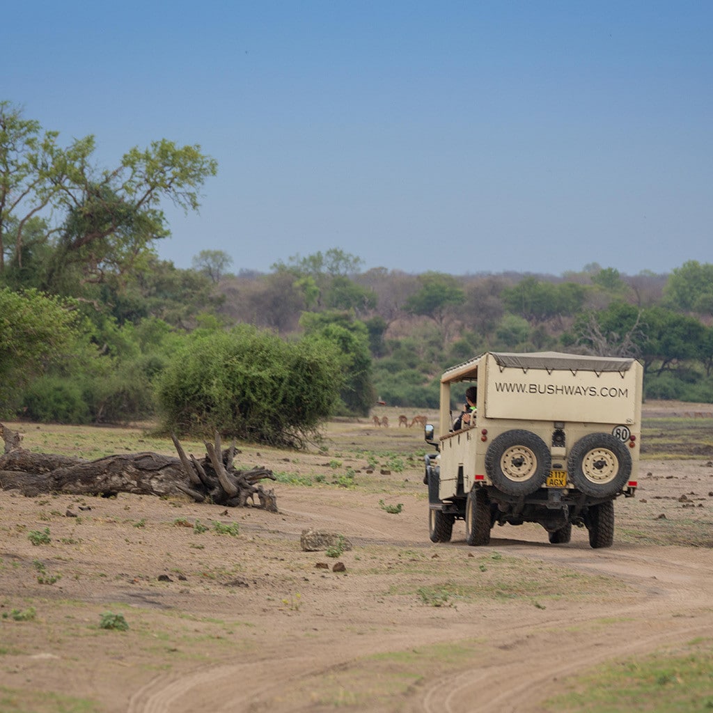 Botswana Reise Moremi Chobe Safarifahrzeug