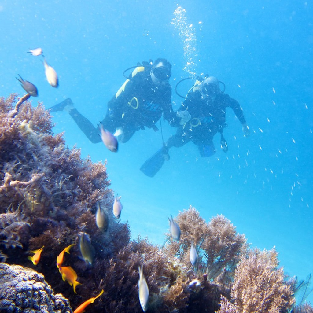 Tauchen in Afrika Fundu Lagoon Lodge Sansibar