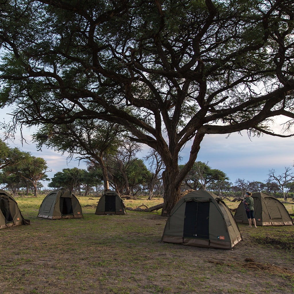 Campingplatz Botswana Reise Moremi Chobe