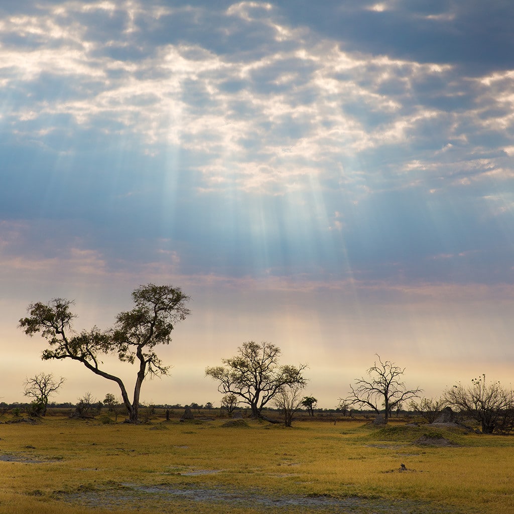 Moremi Landschaft Botswana Reise