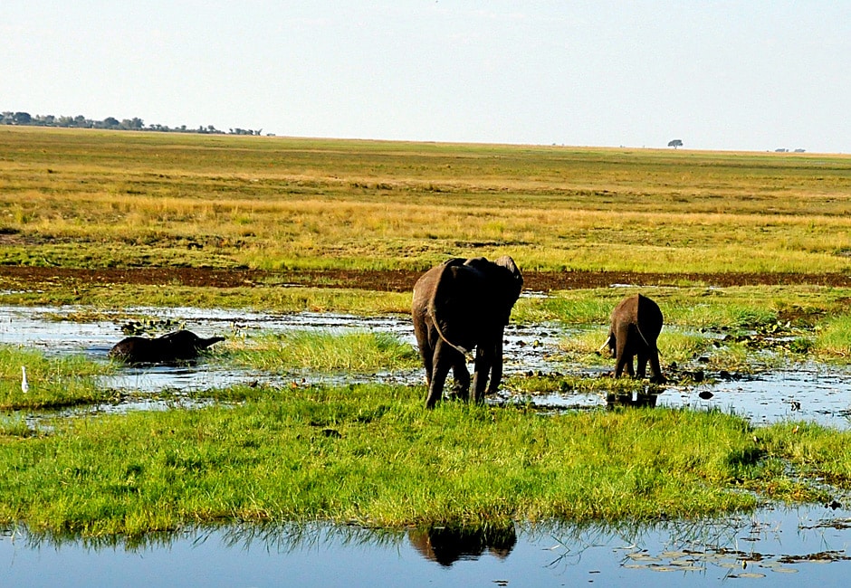 Welche Naturschutzgebiete Botswana
