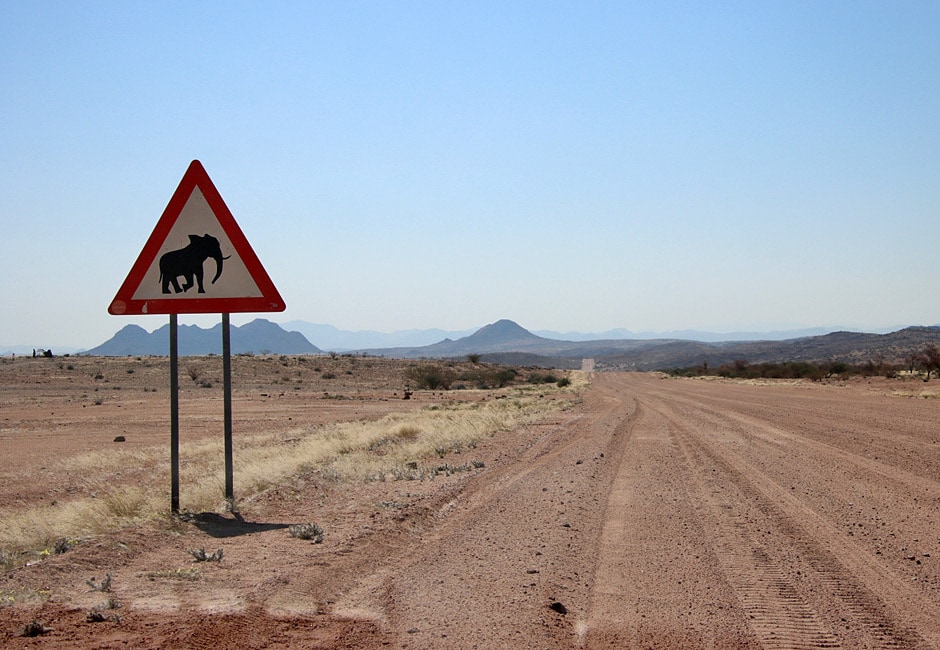 Wo kann man Wüstenelefanten sehen Namibia