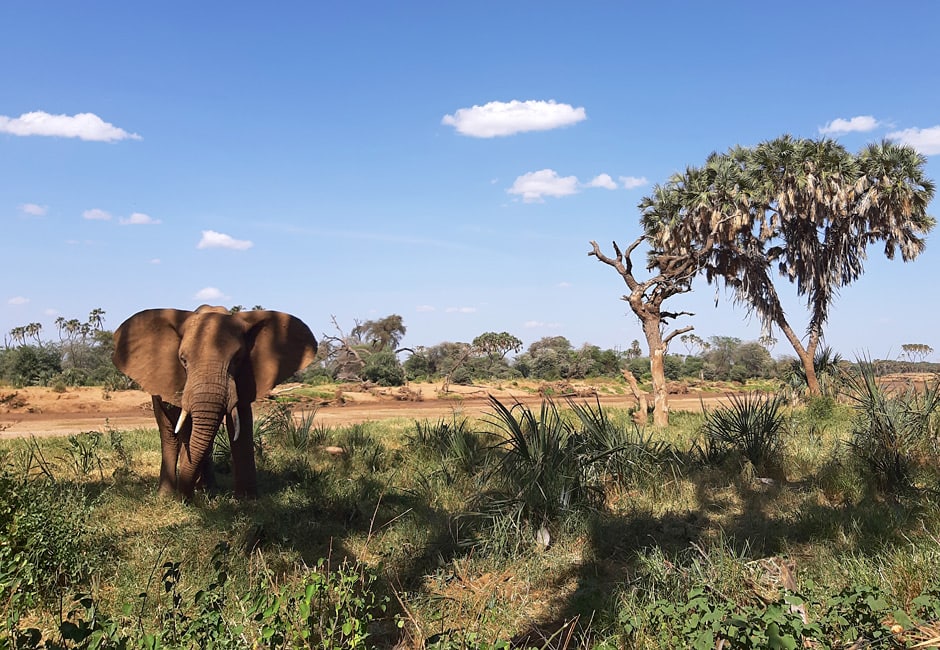 Ist Samburu sehenswert Kenia?