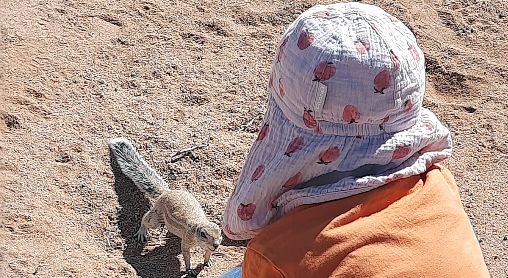 Begegnung mit Meerkatzen