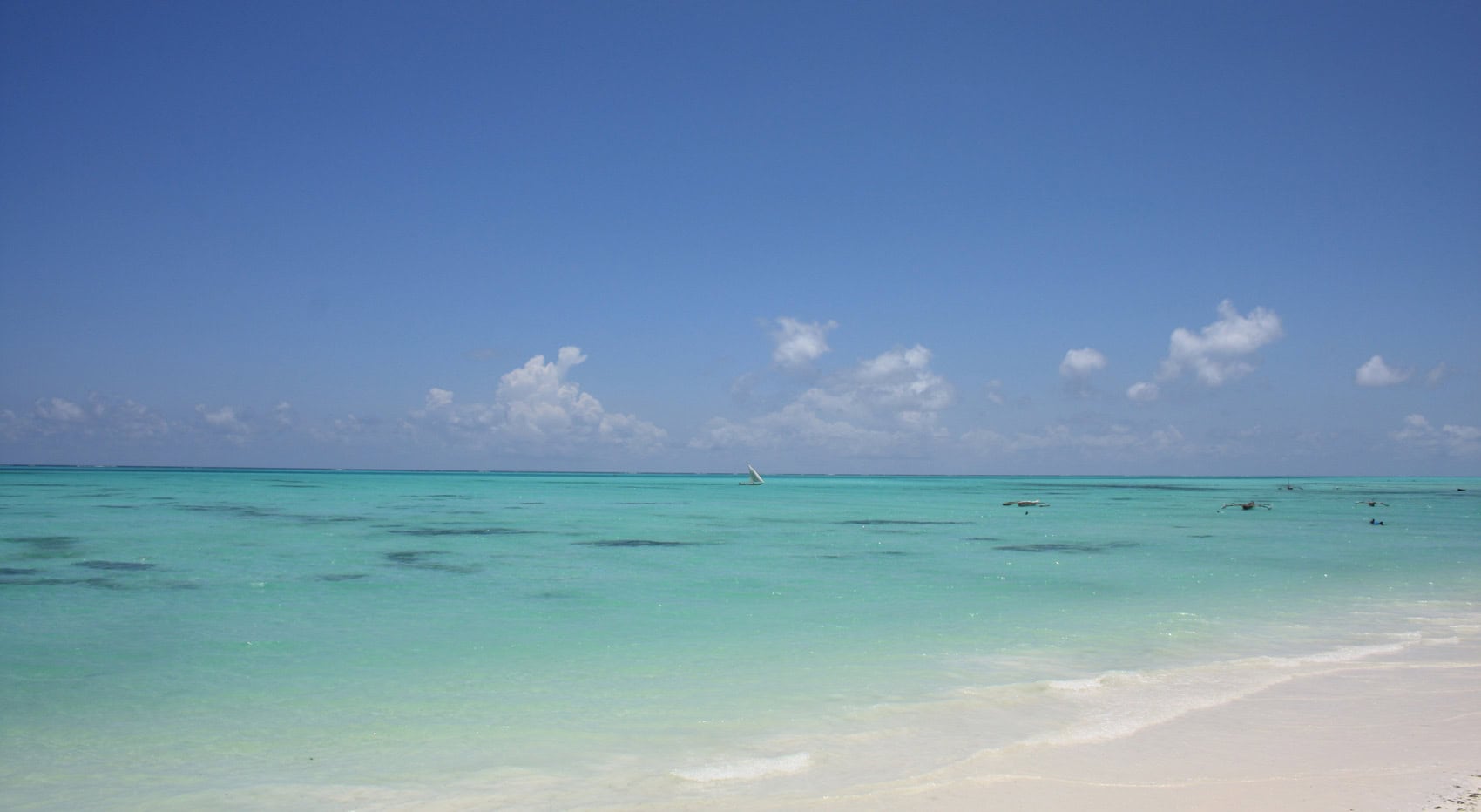 Ein Strand auf Sansibar und der indische Ozean.