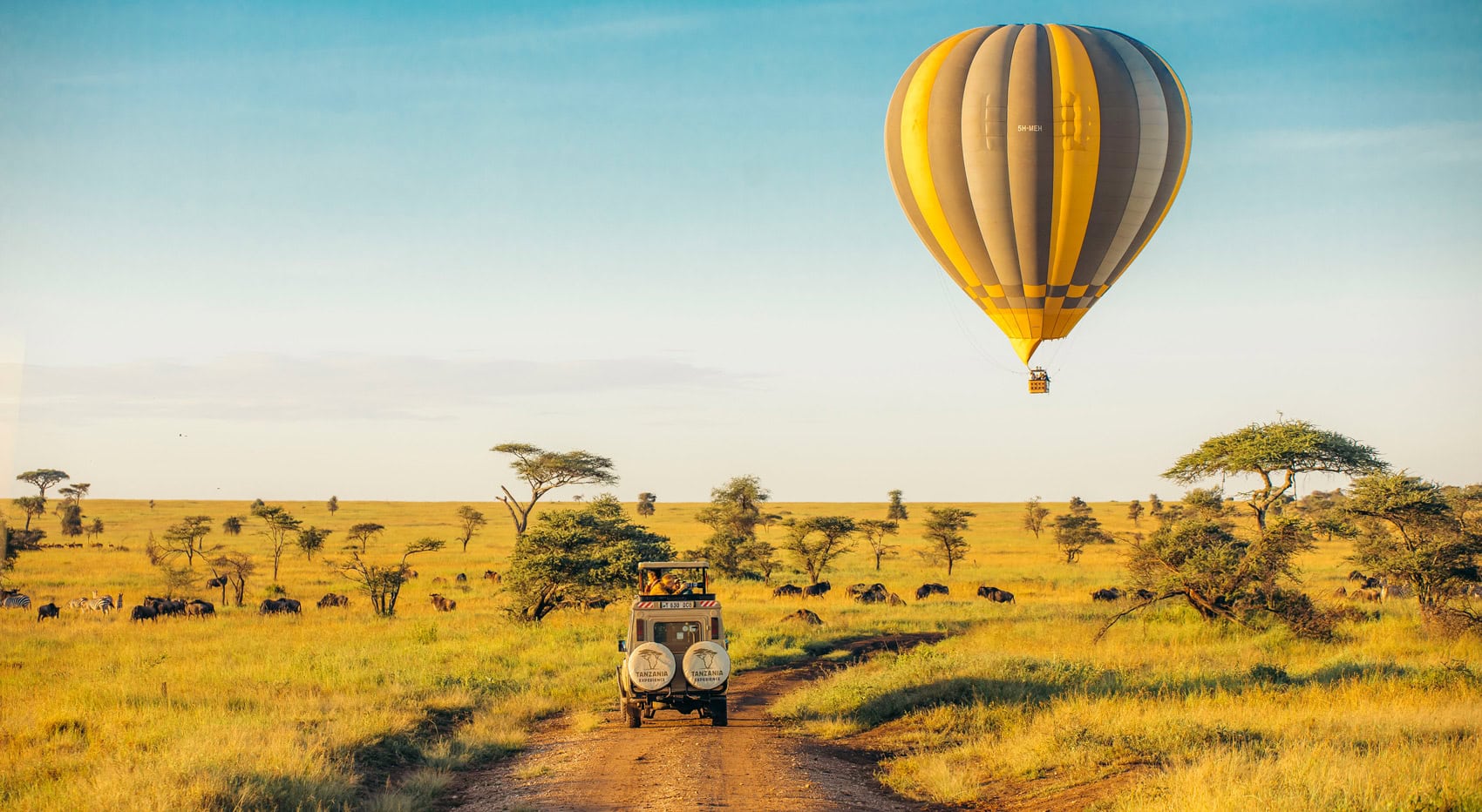 Safariauto mit Heißluftballon im Serengeti Nationalpark in Tansania.