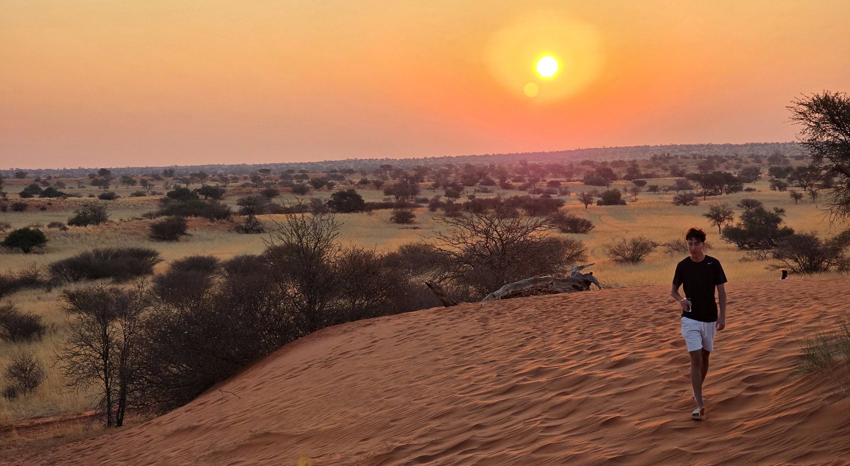 Ein Gast in Namibia. 