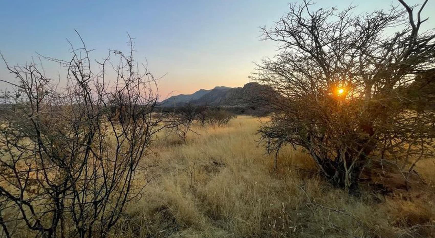 Eine Landschaftsaufnahme in Namibia.