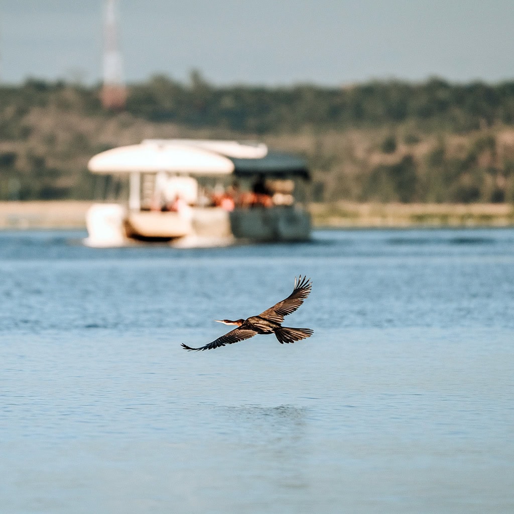 Bootsfahrt auf dem Chobe
