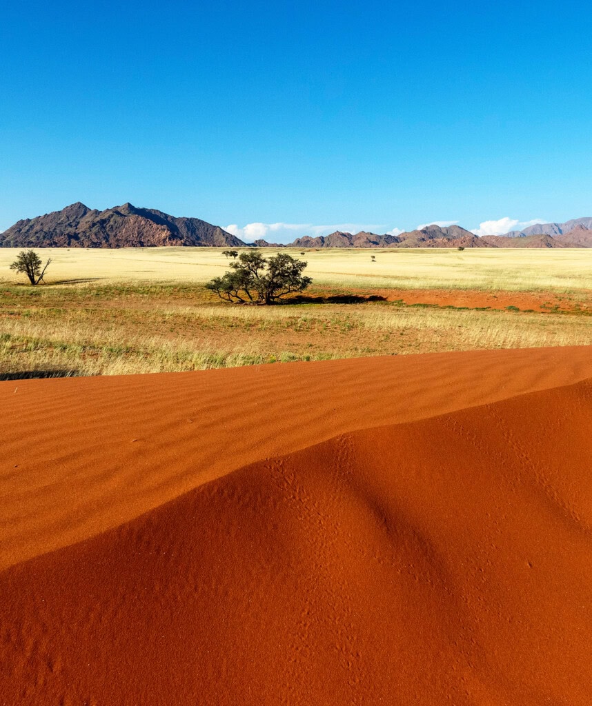 Elim Düne Sossusvlei Namibia