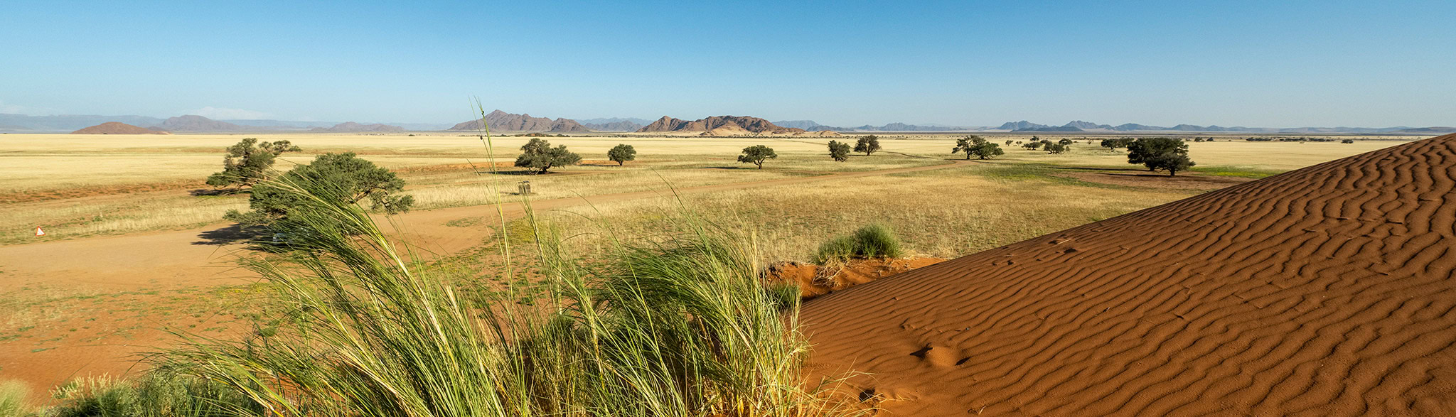 Düne in der Namib Wüste ist ein beliebtes Fotomotiv