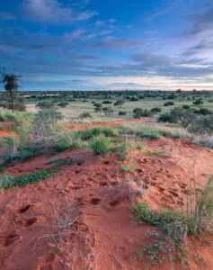 Namibia Süden Fotoreise