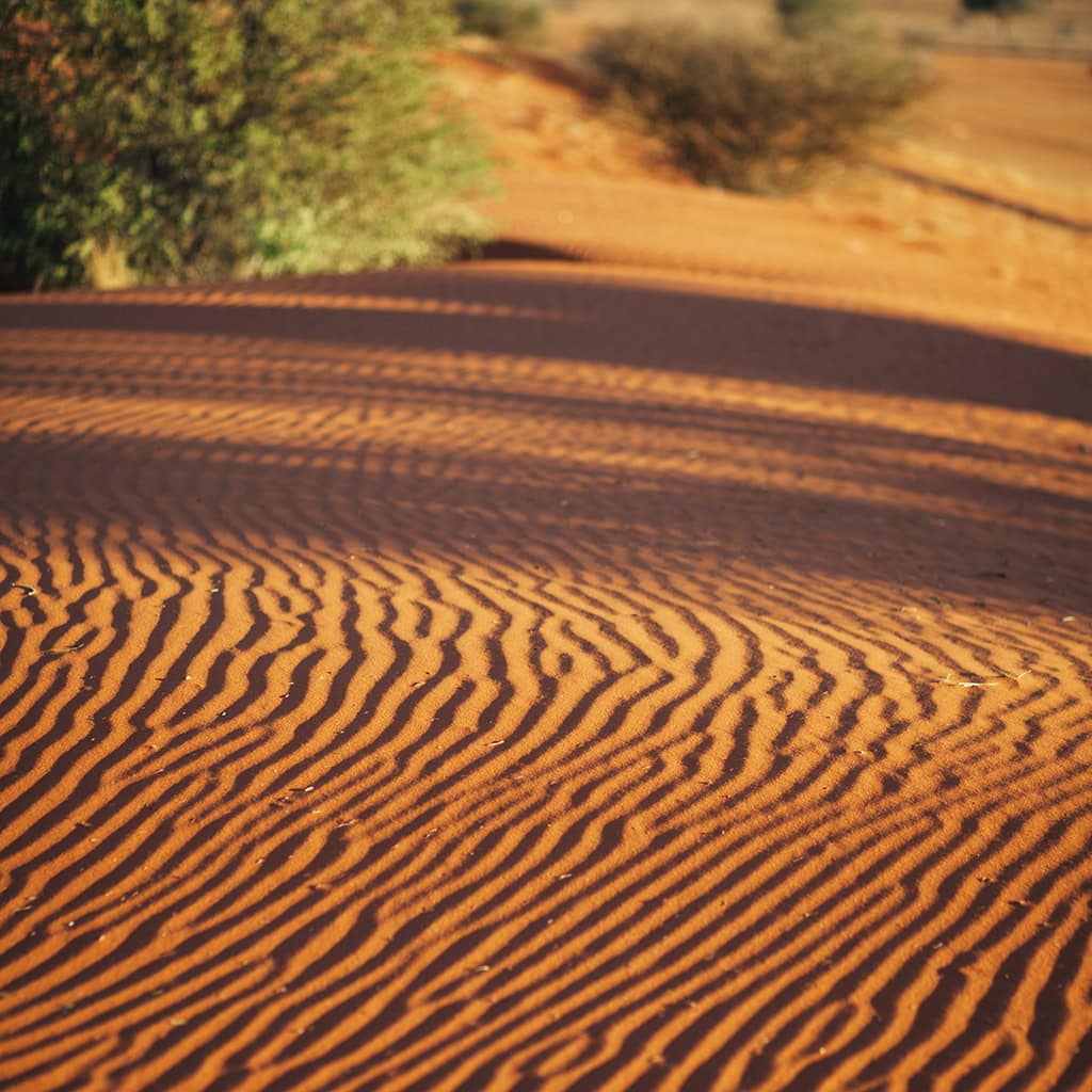 Fotomotiv roter Sand der Kalahari