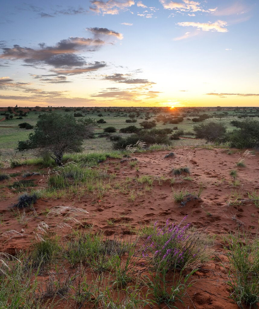 Landschaftsfotografie in der Kalahari