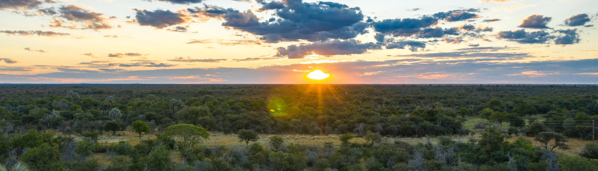 Wunderschöner Sonnenuntergang am Horizont auf Namibia & Botswana Fotosafari