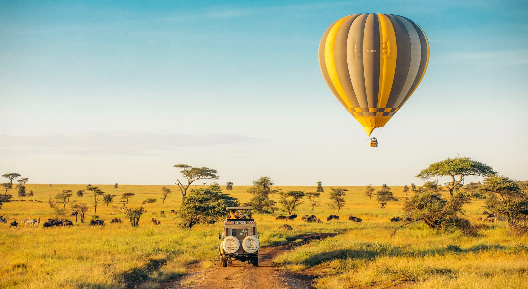 Ein Heißluftballon schwebt über den Weiten der Serengeti und Gäste bewundern ihn aus ihrem Fahrzeug heraus. Ein Heißluftballon schwebt über den Weiten der Serengeti und Gäste bewundern ihn aus ihrem Fahrzeug heraus.