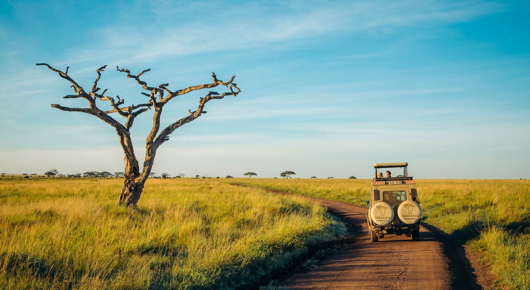 Ein Safariauto in der Serengeti. Ein Safariauto in der Serengeti.