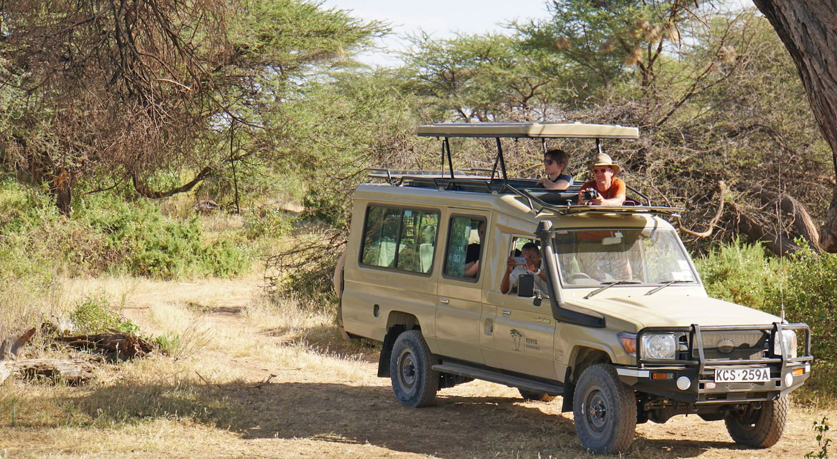 Gäste die etwas aus dem Aufstelldach ihres Safarifahrzeugs beobachten. Gäste die etwas aus dem Aufstelldach ihres Safarifahrzeugs beobachten.