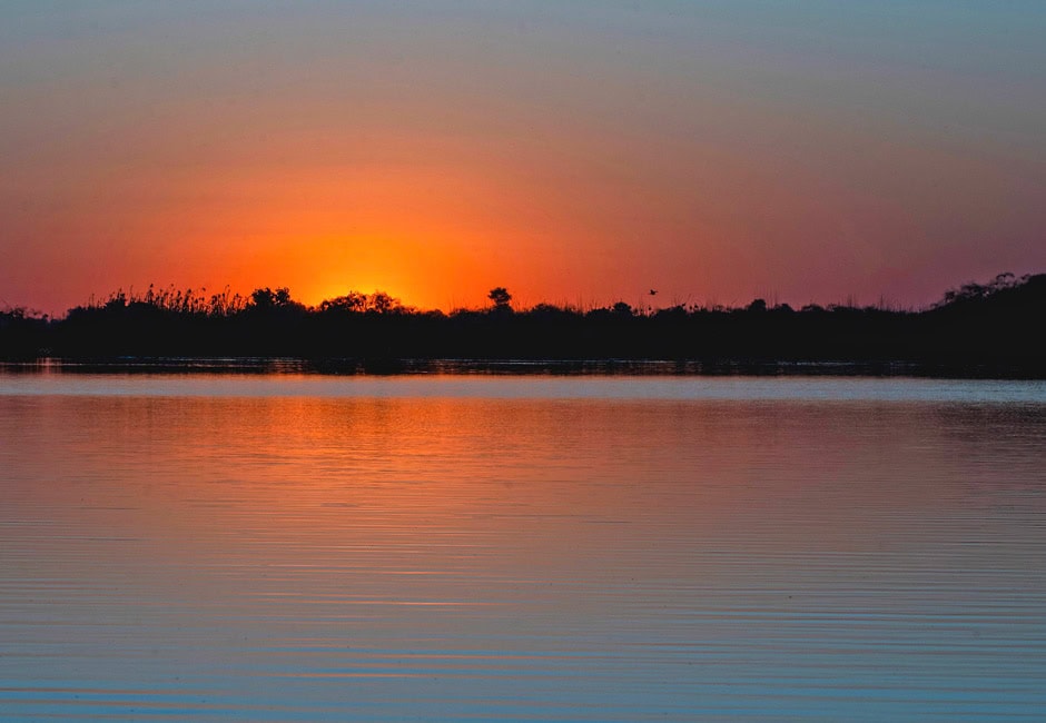 Chobe Nationalpark – Alles, was du wissen musst