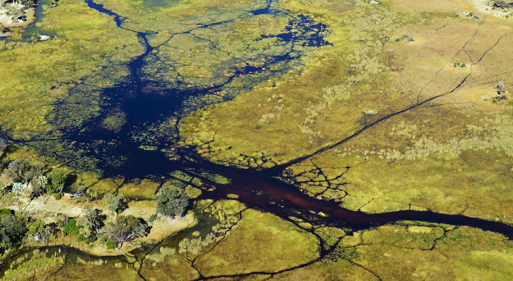 Eine Panoramaaufnahme des Okavango Deltas aus der Vogelperspektive. Eine Panoramaaufnahme des Okavango Deltas aus der Vogelperspektive.