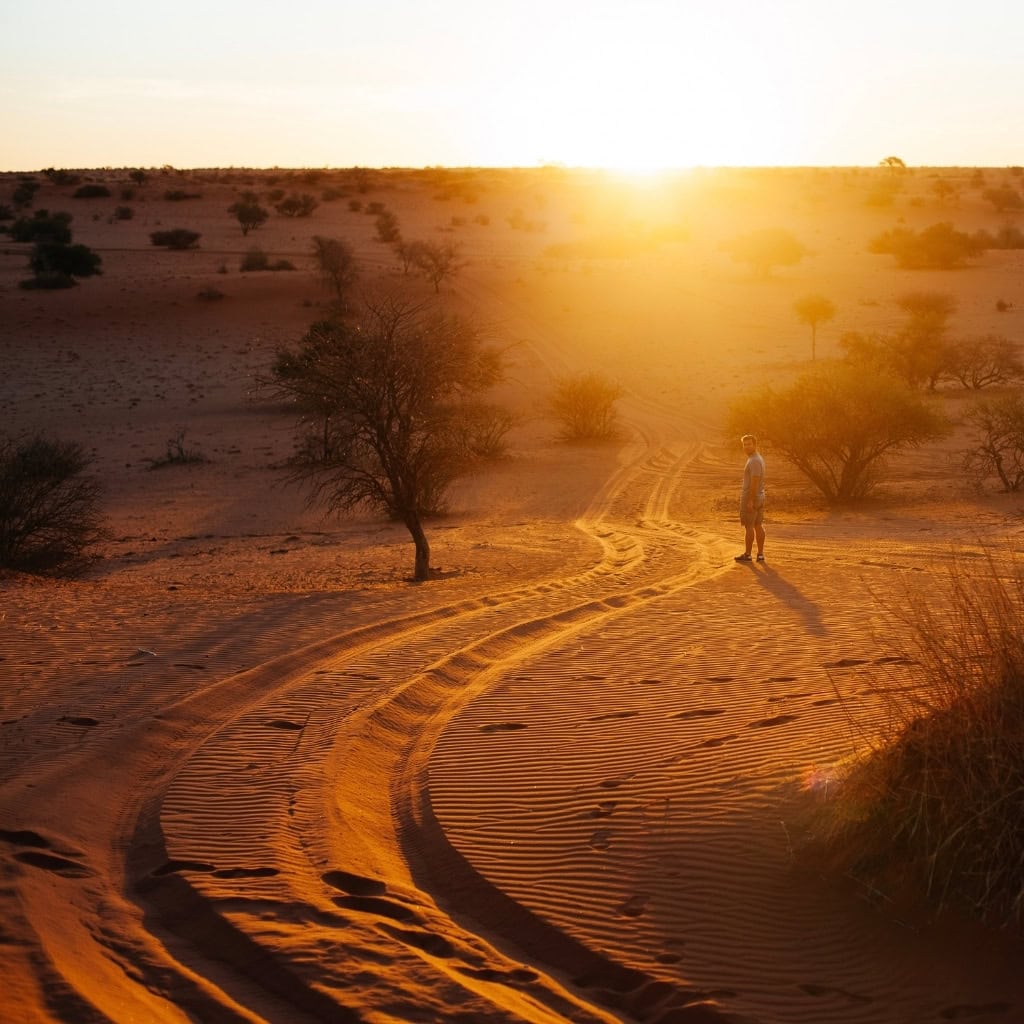 Sonnenuntergang in der Kalahari