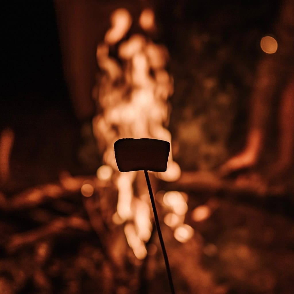 Marshmellow über Lagerfeuer gegrillt