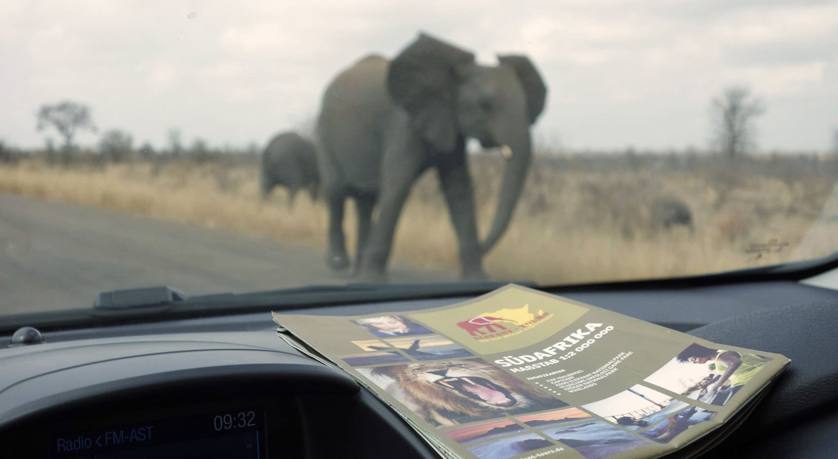 Elefanten gehen an einem Selbstfahrerauto im Kruger vorbei. 