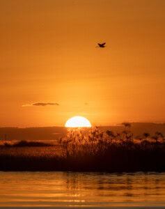 Sonnenuntergang am Chobe Fluß