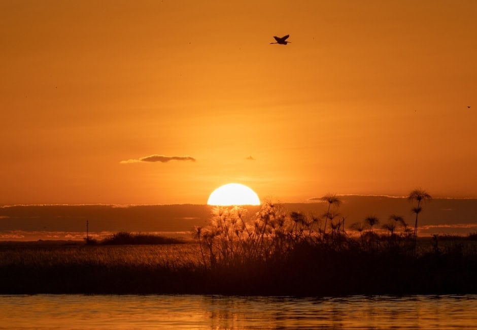Sonnenuntergang am Chobe Fluß