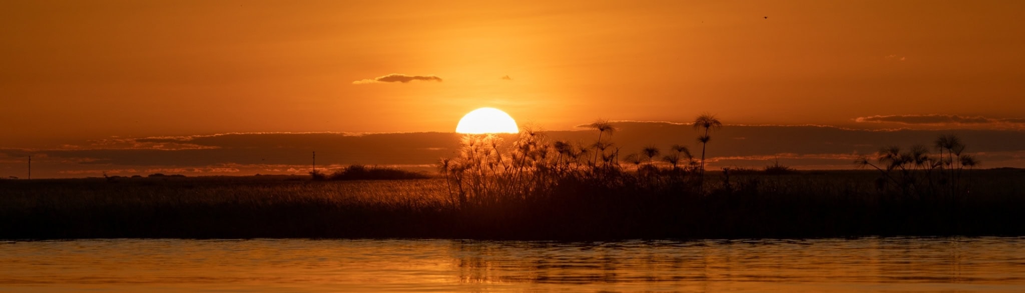 Sonnenuntergang am Chobe Fluß